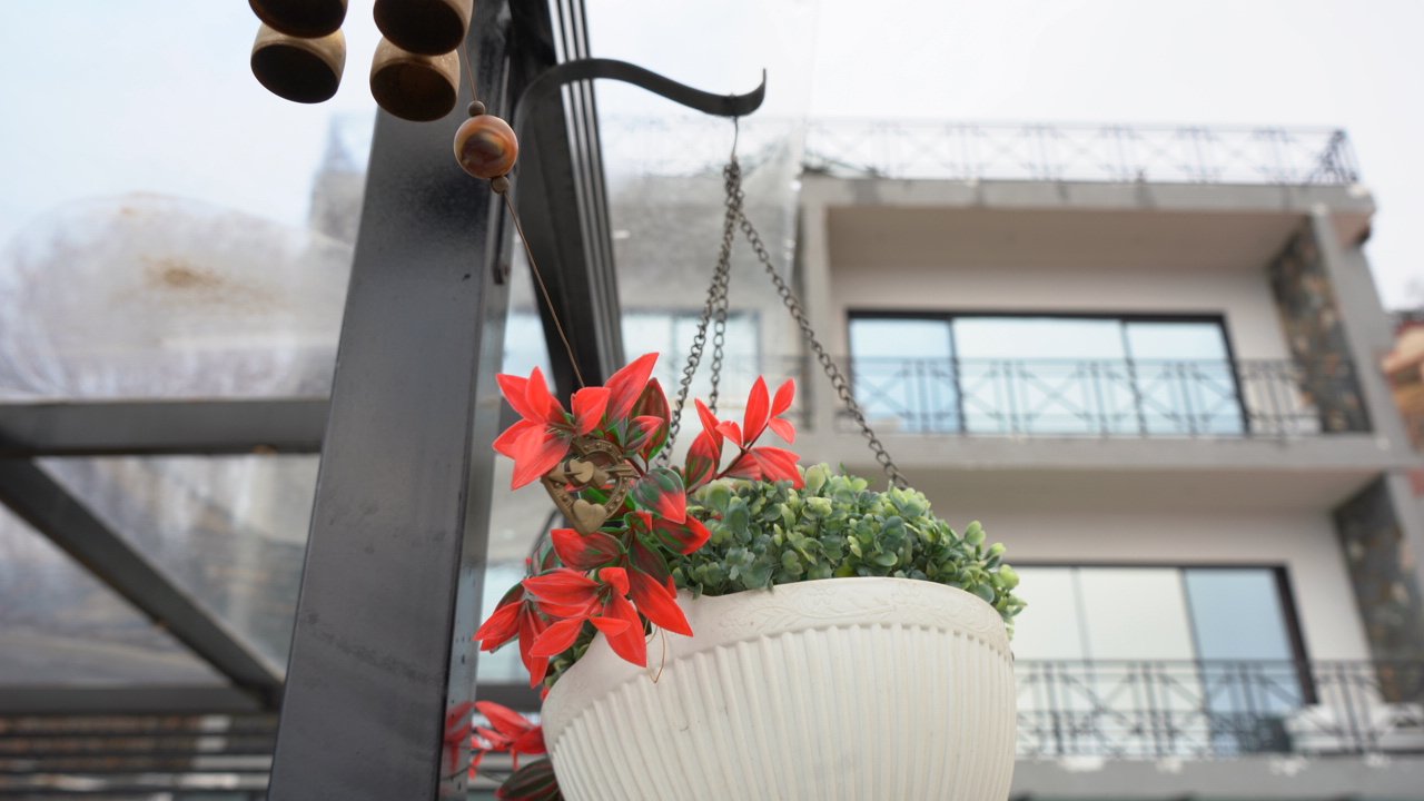 Terrace Flowers at Bliss Seasons, Murree